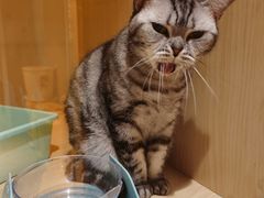 -Pets First伊珊娜洗护·精致美容·家庭式寄养(新会路店)
