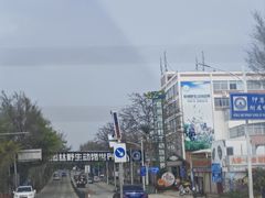 -泉州海丝野生动物世界