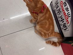 -京东便利店(南翔老街店)