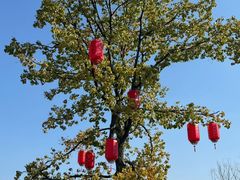 -王阳明故居