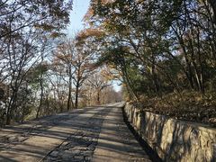-紫金山山顶公园