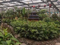 -南宫五洲植物乐园