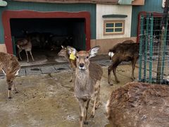 -盈香心动乐园