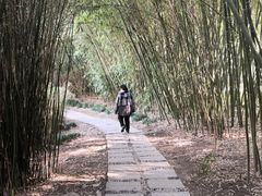 -苏州河梦清园环保主题公园