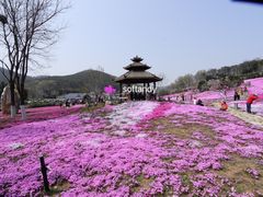 -棒棰岛宾馆景区