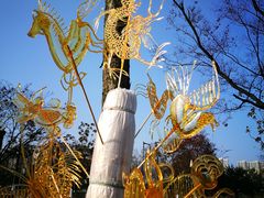 -白塘生态植物园