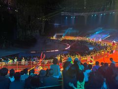-灵玲国际马戏城