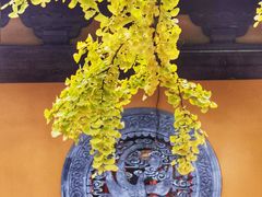-龙华寺