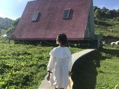 -关山草原