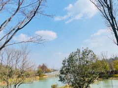 -牛首山文化旅游区