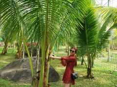 -呀诺达热带雨林