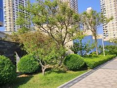 -烟台金沙滩喜来登度假酒店