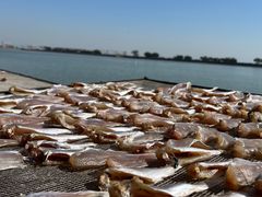 -南沙十九涌渔人码头-南门