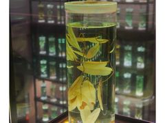 -广东中医药博物馆