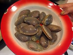 -鲜入围煮花胶鸡海鲜火锅