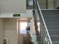 -北京观赏动物医院·24小时大型综合·猫专科·异宠专科