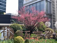 -中海环宇荟
