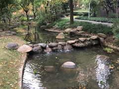 -陈家山荷花公园