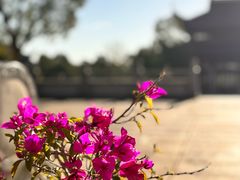 -敬亭山风景名胜区