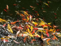 -南通洲际绿博园