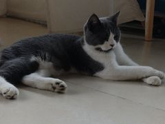-美联众合24小时·皮肤科·外科·全科诊疗中心(华苑分院)