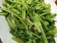 -乌文新澄海卤鹅店