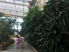 -龙达温泉生态城