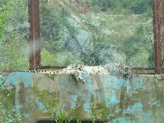 -青藏高原野生动物园