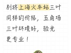 -三叶眼镜城(凯迪金融大厦店)