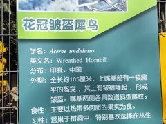 -宁波野生动物园