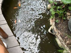 -上海大自然野生昆虫馆