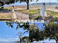 -洱海月湿地公园