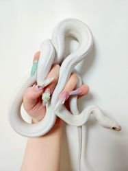 -ChuLian初莲日式美甲美睫