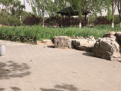 -大兴滨河森林公园