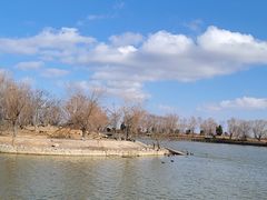 -盐城丹顶鹤湿地生态旅游区