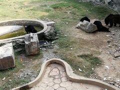 -无锡动物园·太湖欢乐园