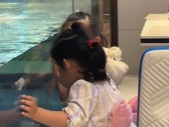 -帝企鹅自助餐厅•儿童岛•真企鹅(长隆企鹅酒店)