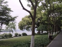 -苏堤停车场