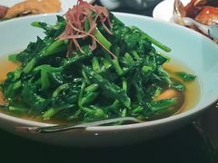 清炒豆苗-夜上海(新天地店)