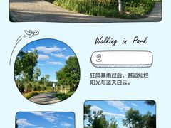 -东郊湿地公园