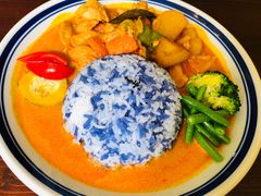 马来咖喱鸡饭-马来MO简餐.南洋风味料理(美食街店)