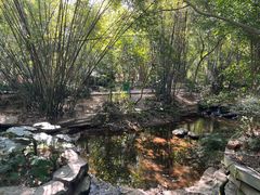 -大屏嶂森林公园