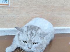 -美联众合动物医院·24h京西诊疗中心
