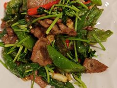 陇椒香菜炒牛肉-香满楼(南关店)