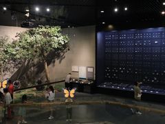 -北京周口店北京人遗址博物馆