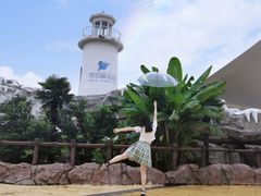 -芜湖新华联大白鲸海洋公园