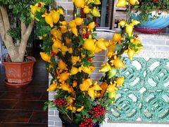 -顺德了能馆(虎门店)