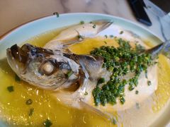 清蒸白鱼（太湖鸡汁白鱼）-京城小江南·北京烤鸭·江南土菜·白鱼(中关村店)