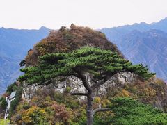 -圣莲山风景区