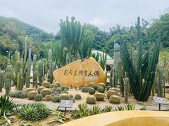-深圳仙湖植物园